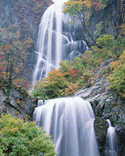 pic for water fall2